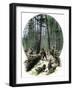 Minnesota Loggers Cutting Trees and Sawing Logs with a Two-Man Saw, c.1860-null-Framed Giclee Print