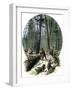 Minnesota Loggers Cutting Trees and Sawing Logs with a Two-Man Saw, c.1860-null-Framed Giclee Print