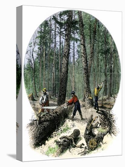 Minnesota Loggers Cutting Trees and Sawing Logs with a Two-Man Saw, c.1860-null-Stretched Canvas