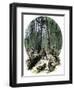 Minnesota Loggers Cutting Trees and Sawing Logs with a Two-Man Saw, c.1860-null-Framed Giclee Print