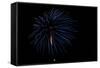 Minnesota, Mendota Heights, Fireworks, Aerial Displays-Bernard Friel-Framed Stretched Canvas