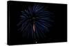 Minnesota, Mendota Heights, Fireworks, Aerial Displays-Bernard Friel-Stretched Canvas