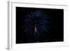 Minnesota, Mendota Heights, Fireworks, Aerial Displays-Bernard Friel-Framed Photographic Print