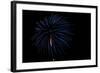 Minnesota, Mendota Heights, Fireworks, Aerial Displays-Bernard Friel-Framed Photographic Print