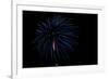 Minnesota, Mendota Heights, Fireworks, Aerial Displays-Bernard Friel-Framed Photographic Print