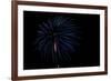 Minnesota, Mendota Heights, Fireworks, Aerial Displays-Bernard Friel-Framed Photographic Print