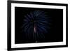 Minnesota, Mendota Heights, Fireworks, Aerial Displays-Bernard Friel-Framed Photographic Print