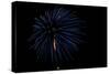 Minnesota, Mendota Heights, Fireworks, Aerial Displays-Bernard Friel-Stretched Canvas