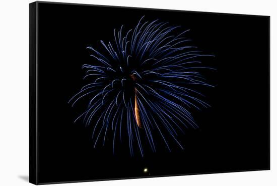 Minnesota, Mendota Heights, Fireworks, Aerial Displays-Bernard Friel-Framed Stretched Canvas