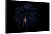 Minnesota, Mendota Heights, Fireworks, Aerial Displays-Bernard Friel-Framed Stretched Canvas