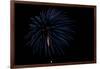 Minnesota, Mendota Heights, Fireworks, Aerial Displays-Bernard Friel-Framed Photographic Print