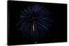 Minnesota, Mendota Heights, Fireworks, Aerial Displays-Bernard Friel-Stretched Canvas