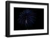 Minnesota, Mendota Heights, Fireworks, Aerial Displays-Bernard Friel-Framed Photographic Print