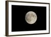 Minnesota, Mendota Heights, Moon before Eclipse, to Blood Moon-Bernard Friel-Framed Photographic Print