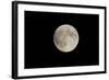 Minnesota, Mendota Heights, Moon before Eclipse, to Blood Moon-Bernard Friel-Framed Photographic Print