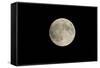 Minnesota, Mendota Heights, Moon before Eclipse, to Blood Moon-Bernard Friel-Framed Stretched Canvas