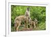 Minnesota, Minnesota Wildlife Connection. Coyote and Pups Howling-Rona Schwarz-Framed Photographic Print