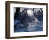 Minnesota Moon-Gordon Semmens-Framed Premium Giclee Print