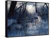 Minnesota Moon-Gordon Semmens-Framed Stretched Canvas