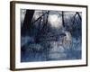 Minnesota Moon-Gordon Semmens-Framed Giclee Print