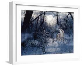 Minnesota Moon-Gordon Semmens-Framed Giclee Print