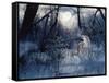 Minnesota Moon-Gordon Semmens-Framed Stretched Canvas