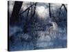 Minnesota Moon-Gordon Semmens-Stretched Canvas