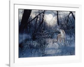 Minnesota Moon-Gordon Semmens-Framed Giclee Print