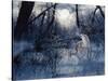 Minnesota Moon-Gordon Semmens-Stretched Canvas