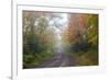 Minnesota, Pat Bayle State Forest. Fall color along road through forest-Jamie & Judy Wild-Framed Photographic Print