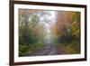 Minnesota, Pat Bayle State Forest. Fall color along road through forest-Jamie & Judy Wild-Framed Photographic Print