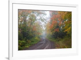 Minnesota, Pat Bayle State Forest. Fall color along road through forest-Jamie & Judy Wild-Framed Premium Photographic Print