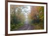 Minnesota, Pat Bayle State Forest. Fall color along road through forest-Jamie & Judy Wild-Framed Premium Photographic Print