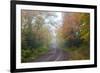 Minnesota, Pat Bayle State Forest. Fall color along road through forest-Jamie & Judy Wild-Framed Premium Photographic Print