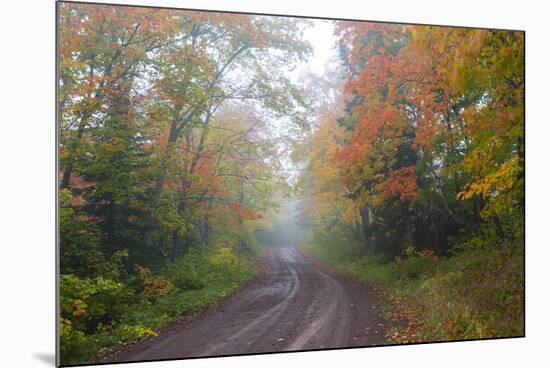 Minnesota, Pat Bayle State Forest. Fall color along road through forest-Jamie & Judy Wild-Mounted Premium Photographic Print