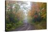 Minnesota, Pat Bayle State Forest. Fall color along road through forest-Jamie & Judy Wild-Stretched Canvas