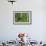 Minnesota, Sandstone, Black Bear Cub on Tree Stump-Rona Schwarz-Framed Photographic Print displayed on a wall
