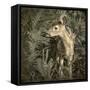 Minnesota, Sandstone, Close Up of White Tailed Deer Fawn in the Ferns-Rona Schwarz-Framed Stretched Canvas