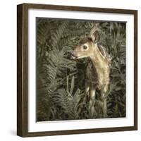 Minnesota, Sandstone, Close Up of White Tailed Deer Fawn in the Ferns-Rona Schwarz-Framed Photographic Print