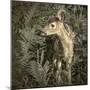 Minnesota, Sandstone, Close Up of White Tailed Deer Fawn in the Ferns-Rona Schwarz-Mounted Photographic Print