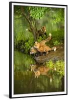 Minnesota, Sandstone, Three Red Fox Kits Gazing Intently Ahead-Rona Schwarz-Framed Premium Photographic Print