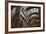 Minnesota State Capitol Interior, Stpaul, Minneapolis, Minnesota, USA-Walter Bibikow-Framed Photographic Print