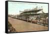 Minnesota State Fair, St. Paul, Minnesota-null-Framed Stretched Canvas