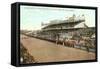 Minnesota State Fair, St. Paul, Minnesota-null-Framed Stretched Canvas