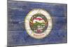 Minnesota State Flag - Barnwood Painting-Lantern Press-Mounted Art Print