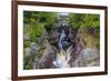 Minnesota, Temperance River State Park, Temperance River, gorge and waterfall-Jamie & Judy Wild-Framed Premium Photographic Print