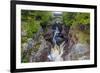 Minnesota, Temperance River State Park, Temperance River, gorge and waterfall-Jamie & Judy Wild-Framed Premium Photographic Print