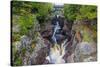 Minnesota, Temperance River State Park, Temperance River, gorge and waterfall-Jamie & Judy Wild-Stretched Canvas