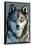 Minnesota - Wolf Up Close-Lantern Press-Framed Stretched Canvas