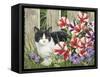 Minnie in the Petunias-William Vanderdasson-Framed Stretched Canvas